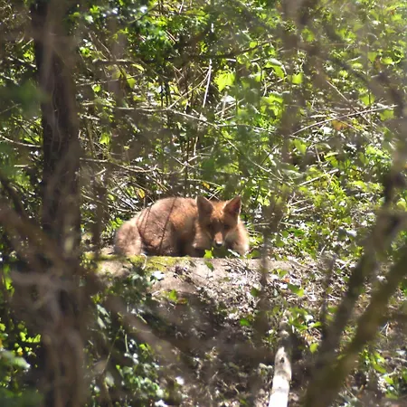 Manoir De Salleviale