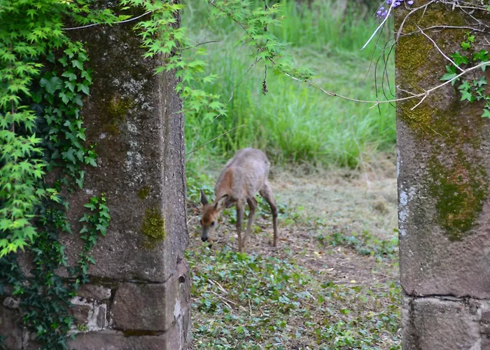 Manoir De Salleviale