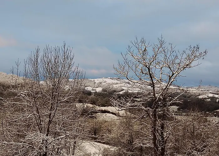 Manoir De Salleviale 3*